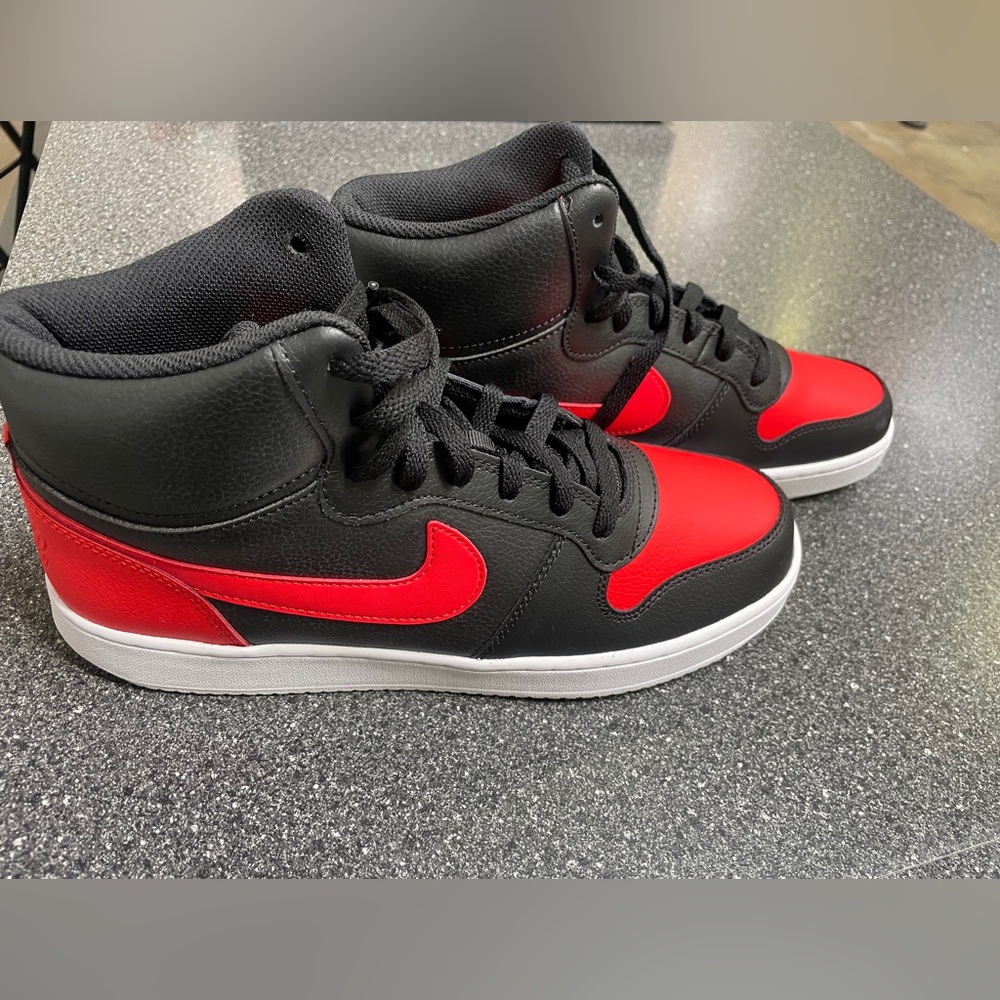 Nike Dunks size 9.5